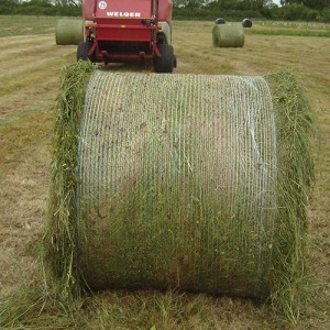 Welger Net not spreading