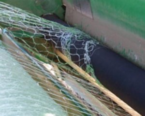 Net wrapping on feeding rollers