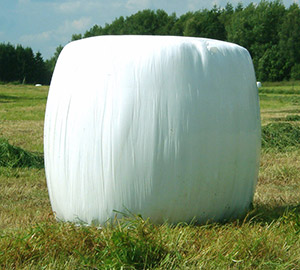 Silage Film