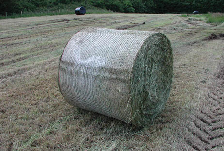 Bale damage 1