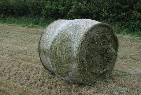 Bale damage 2