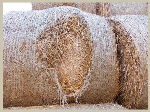 Avoid bales bursting