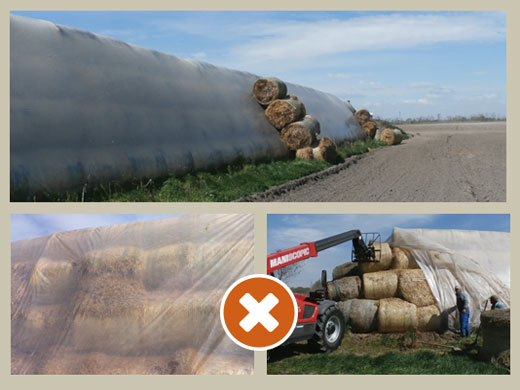 Do not store bales under a clear sheet in hot climates