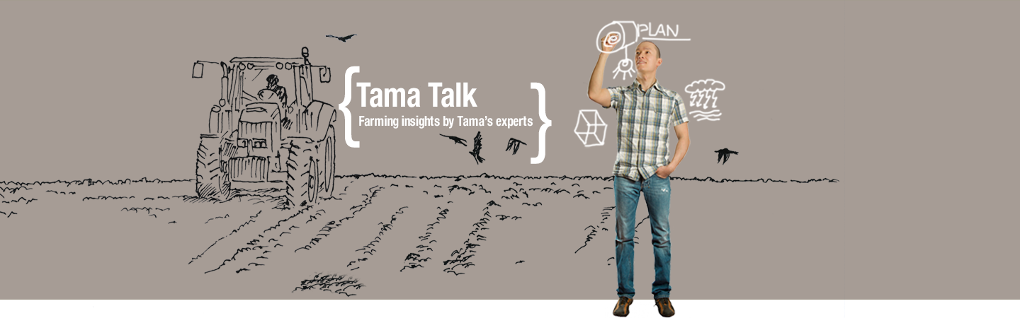 Tama Blog